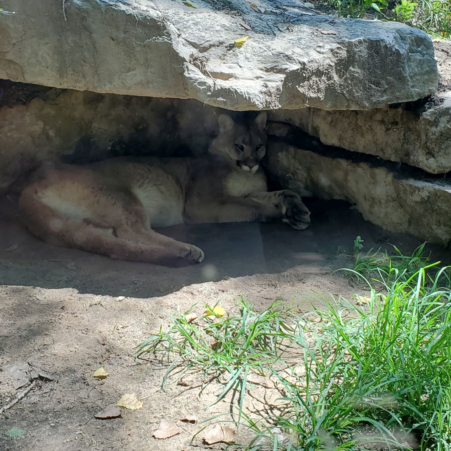 Sedgwick County Zoo 